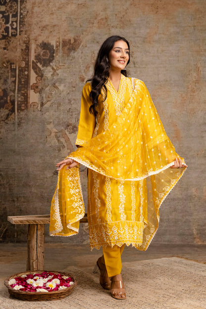 Pakistani Charm Kurti Set