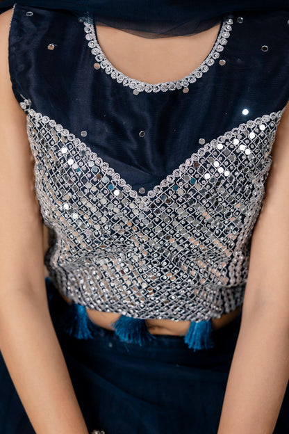 Mirror Worked Crop Top with Skirt &  NET Dupatta