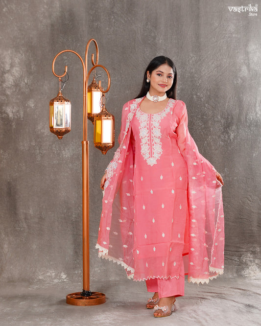 Elegant Organza Kurti Set with Resham & Thread Work