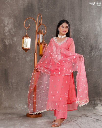 Elegant Organza Kurti Set with Resham & Thread Work